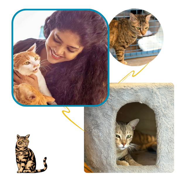 Praana Animal Foundation