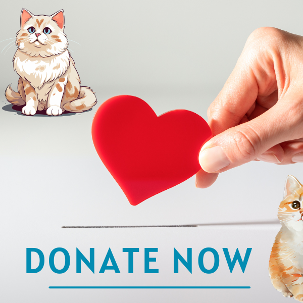 Praana Foundation Donate now