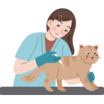 Vaccination Services