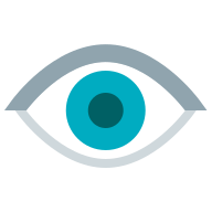 Vision Icon