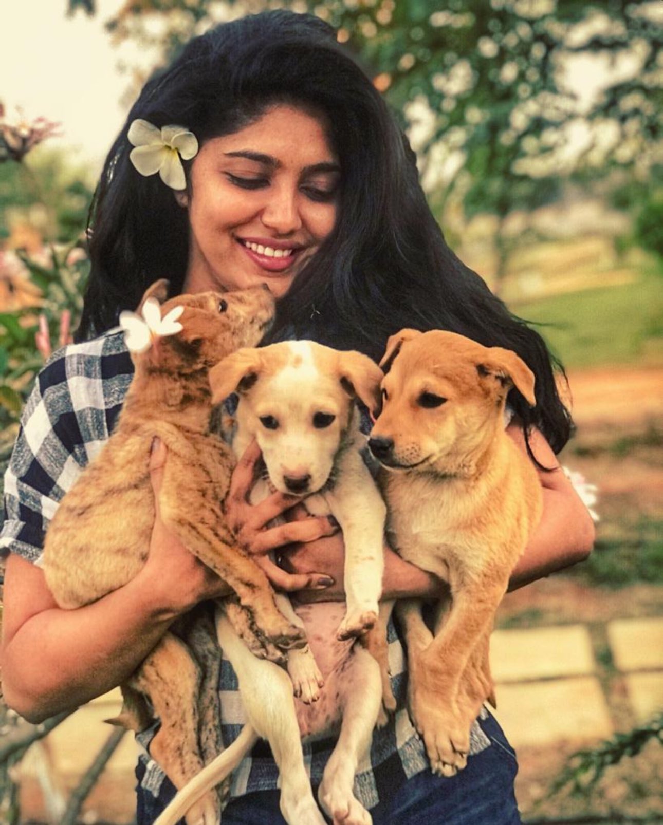 Samyukta Hornad